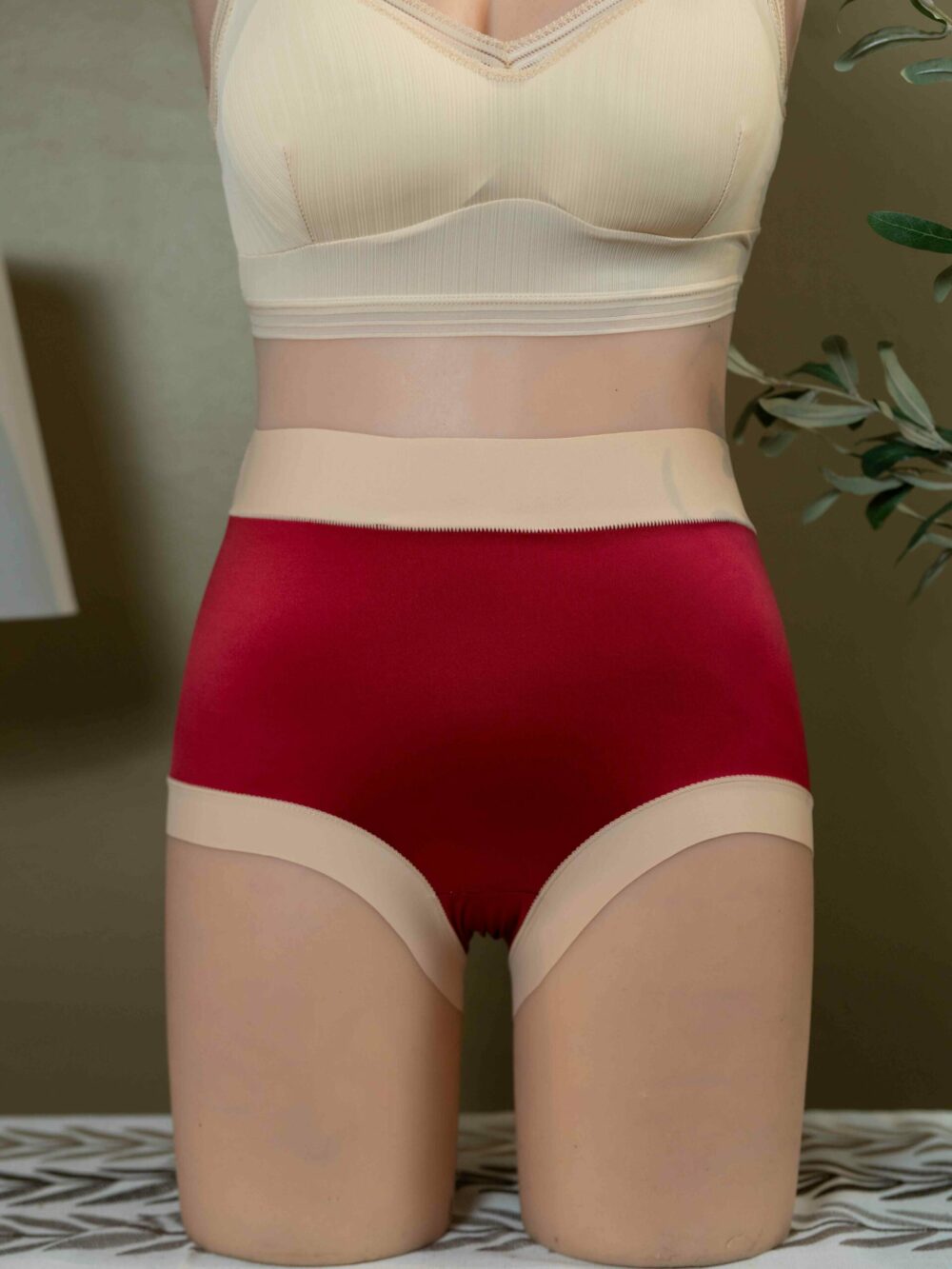 CHER (Normal to Plus Size Panties) - Image 9