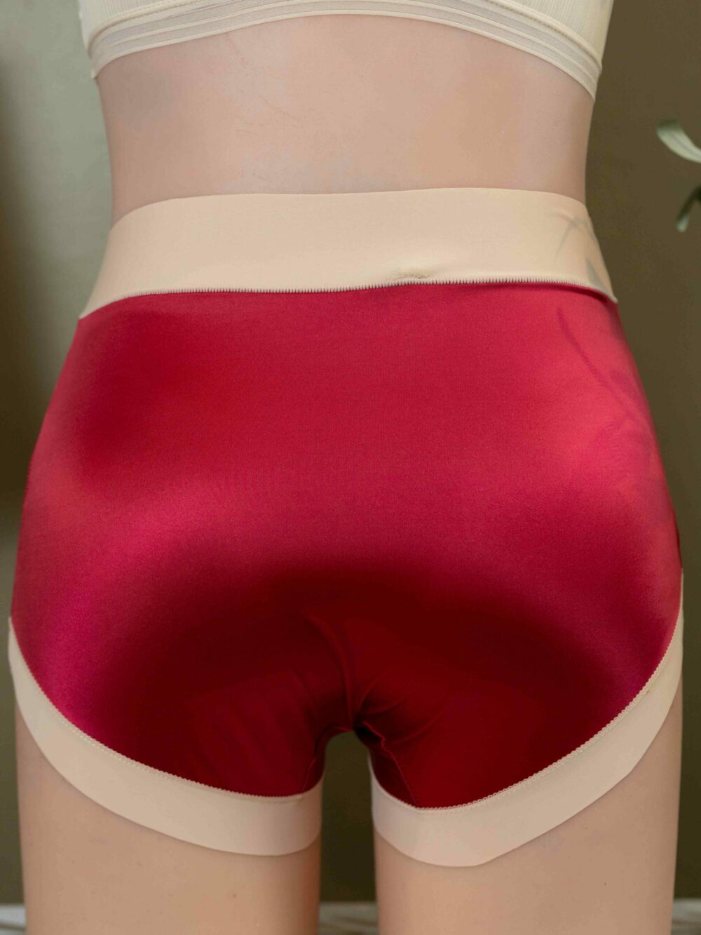 CHER (Normal to Plus Size Panties) - Image 12
