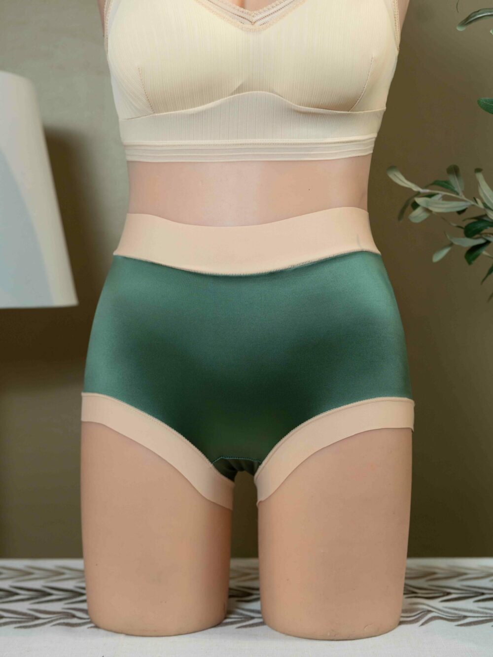CHER (Normal to Plus Size Panties) - Image 5