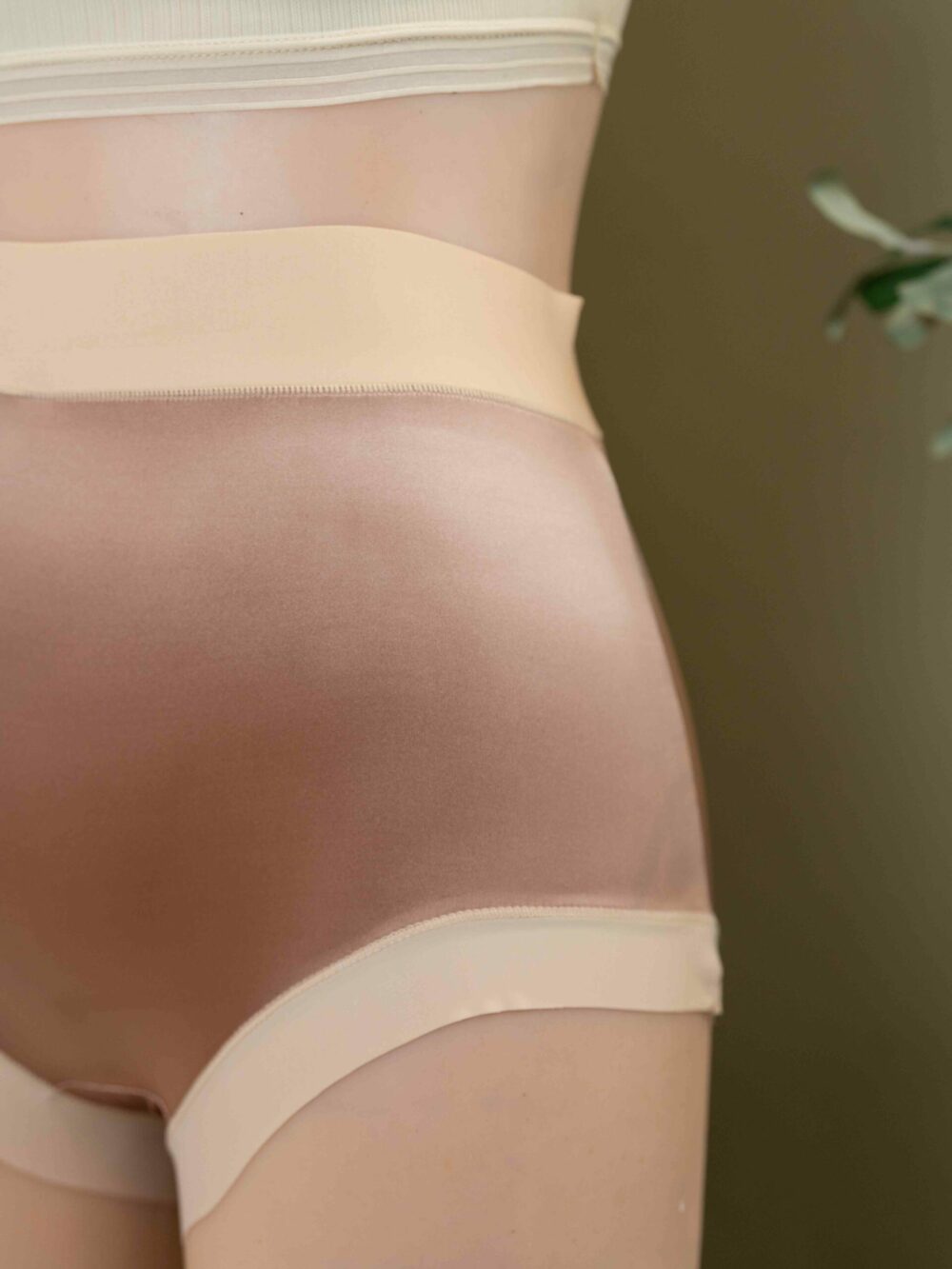 CHER (Normal to Plus Size Panties) - Image 3